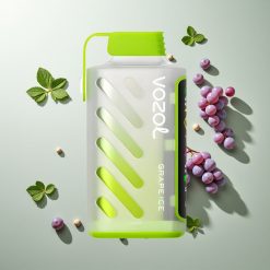 VOZOL Gear Power 20000パフ グレープアイス