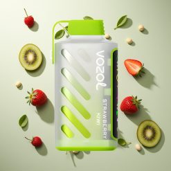 VOZOL Gear Power 20000パフ ストロベリーキウイ デュアルメッシュコイル