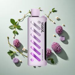 VOZOL Gear Shisha 25000パフ ブラックベリーアイス S.i.L.C Tech