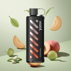 VOZOL Gear Shisha 25000パフ マンゴーピーチ デュアルメッシュデュアルモード