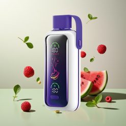 VOZOL Star 20000パフ ラズベリーワーターメロン デュアルメッシュ