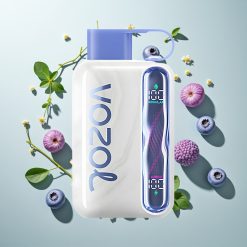 VOZOL STAR 40000パフ ブルーベリーアイス タイプC