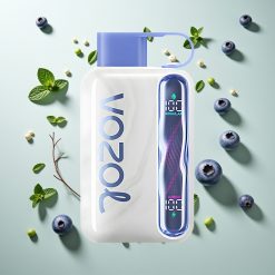 VOZOL STAR 40000パフ ブルーベリーミント 1000mAh