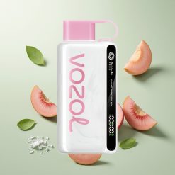 VOZOL STAR 9000/12000ピーチアイス リサイクルプラスチック